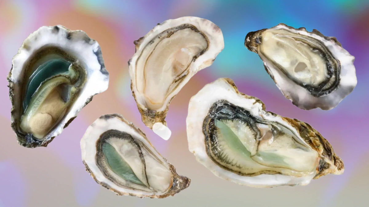 Whole Food Zinc vs Zinc Tablets: What's the Difference?