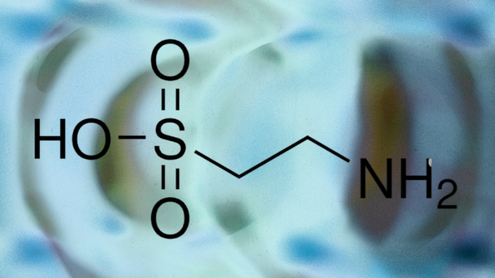 Taurine: The Amino Acid That Does More Than You Think