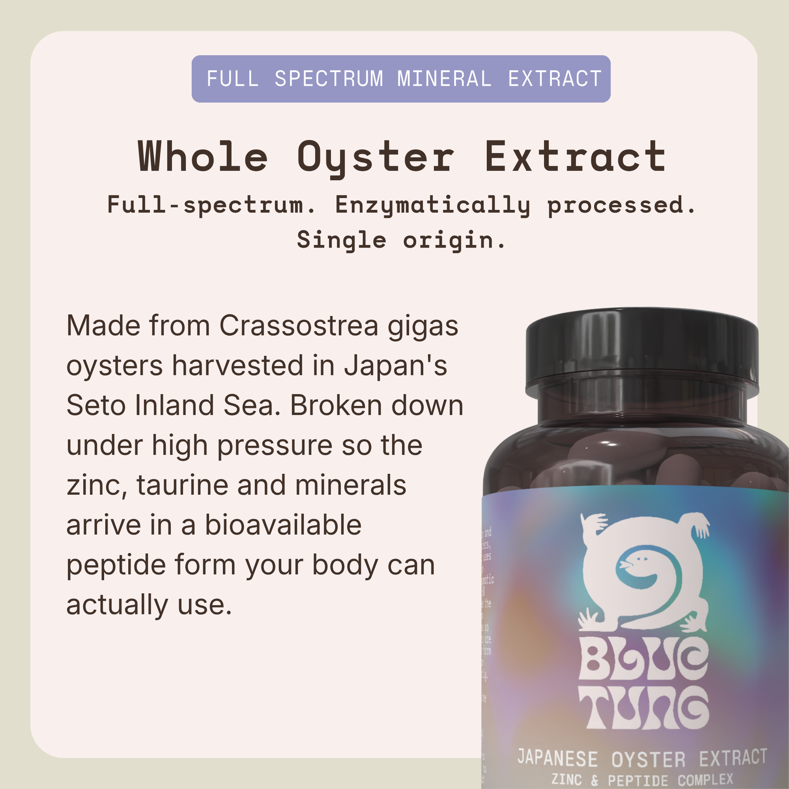 Japanese Oyster Extract Capsules