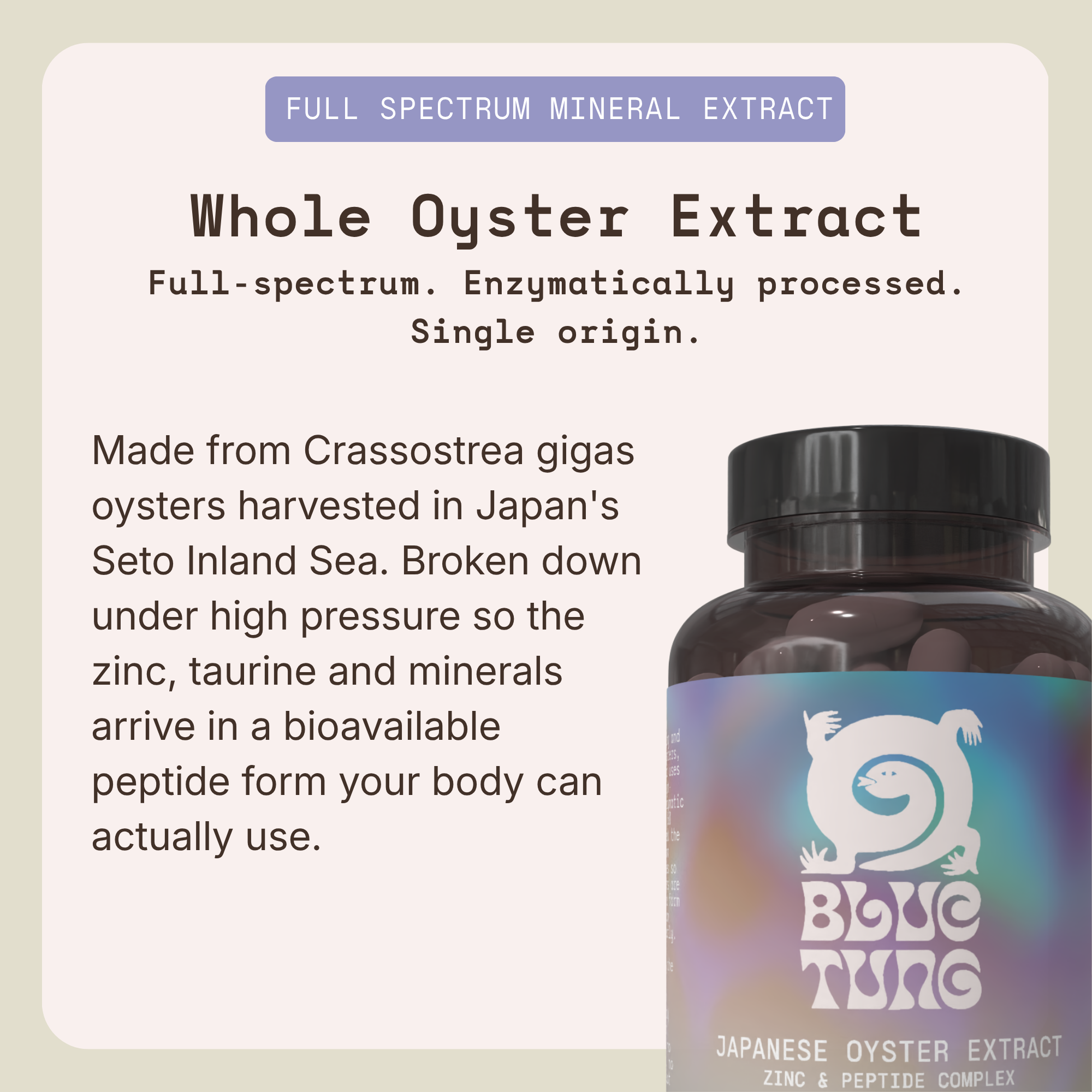 Japanese Oyster Extract Capsules