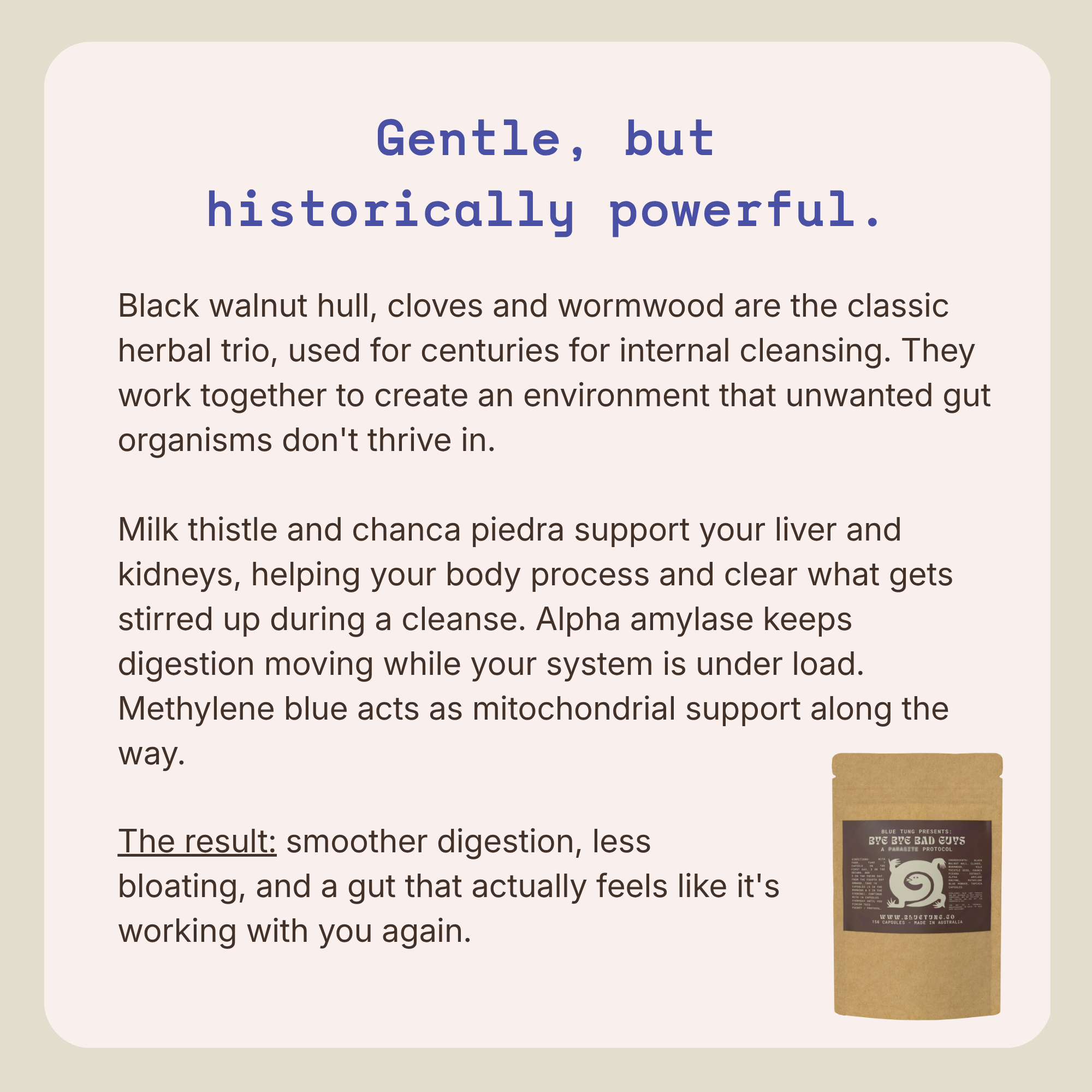 Bye Bye Bad Guys - Herbal Protocol