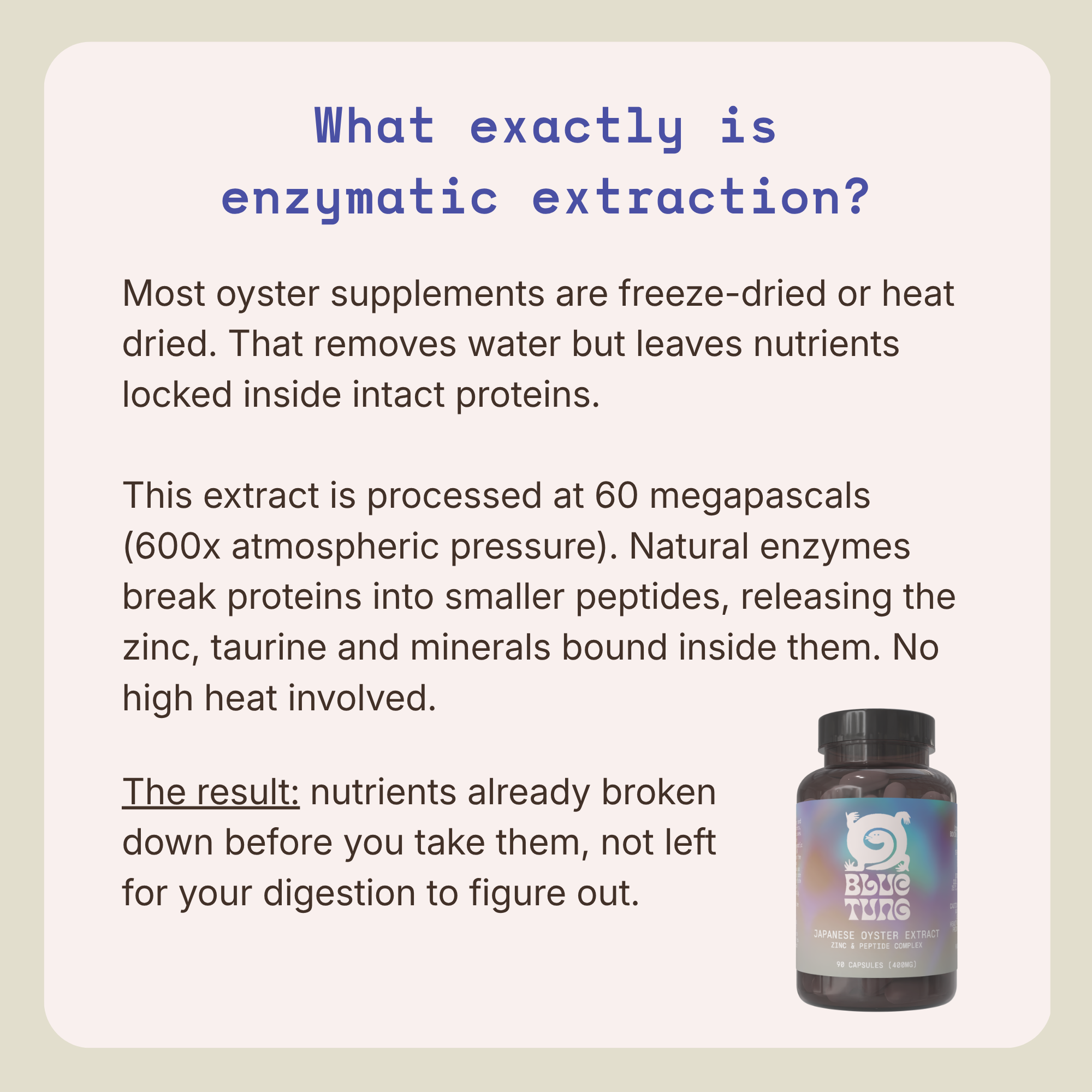 Japanese Oyster Extract Capsules