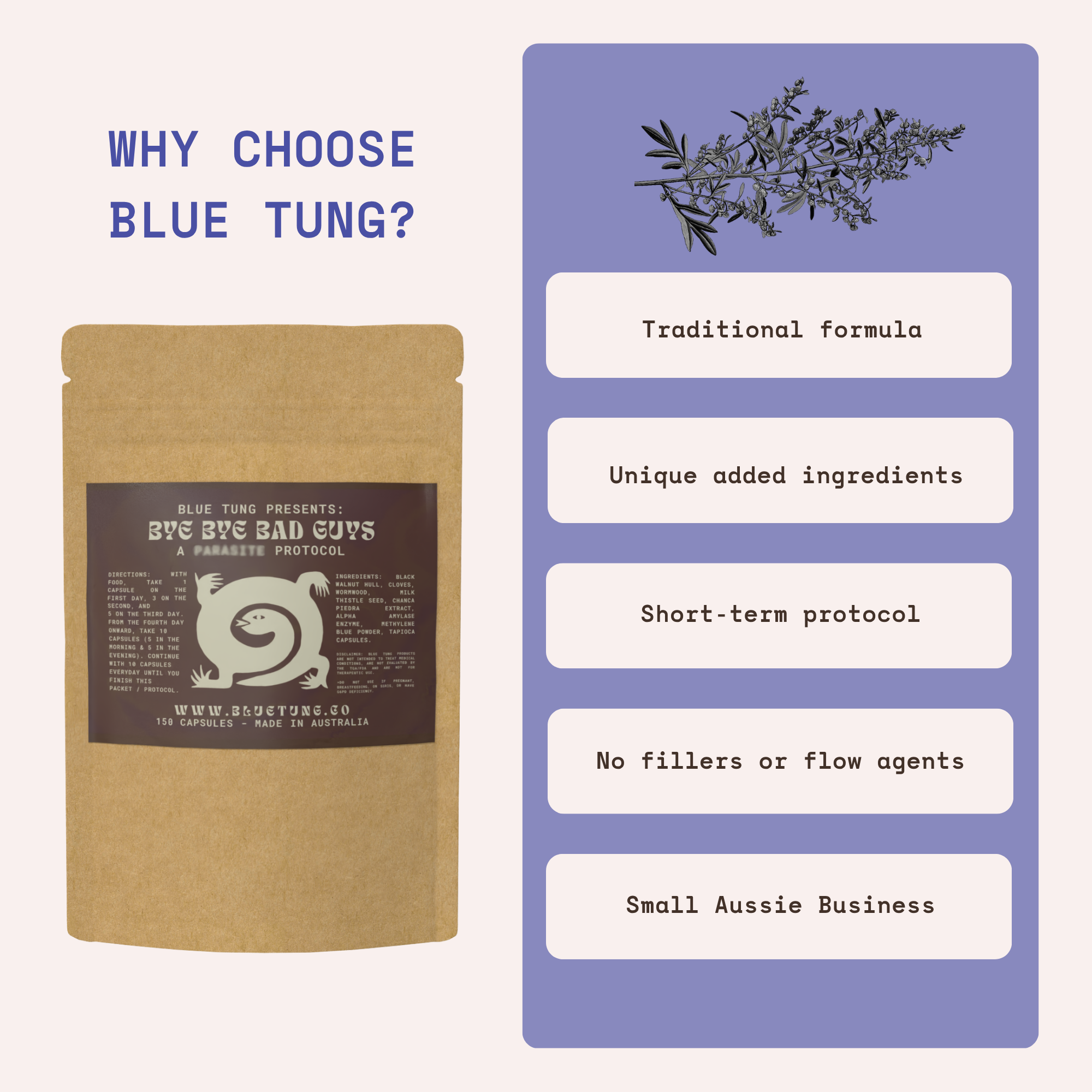 Bye Bye Bad Guys - Herbal Protocol